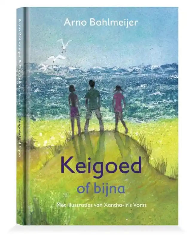 Gereduceerde Prijs Keigoed, of bijna