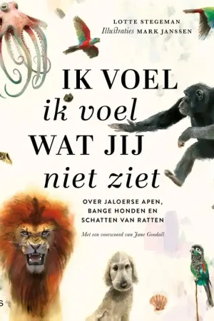 Speciale Aanbieding Ik voel ik voel wat jij niet ziet