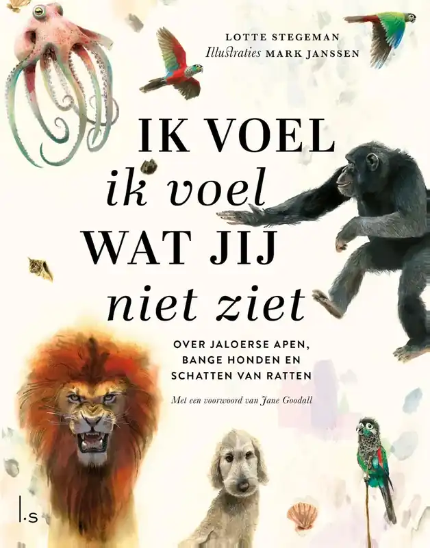 Speciale Aanbieding Ik voel ik voel wat jij niet ziet