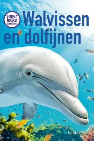 Walvissen en dolfijnen Nu Kopen