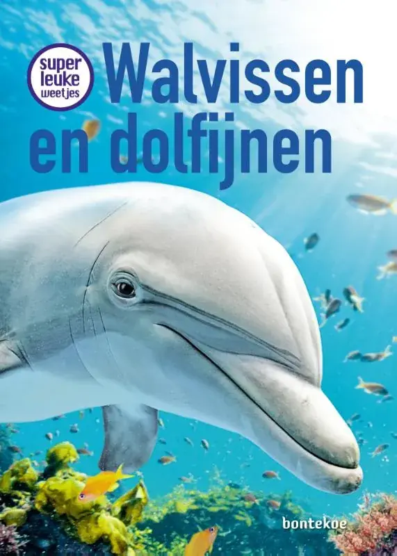 Walvissen en dolfijnen Nu Kopen