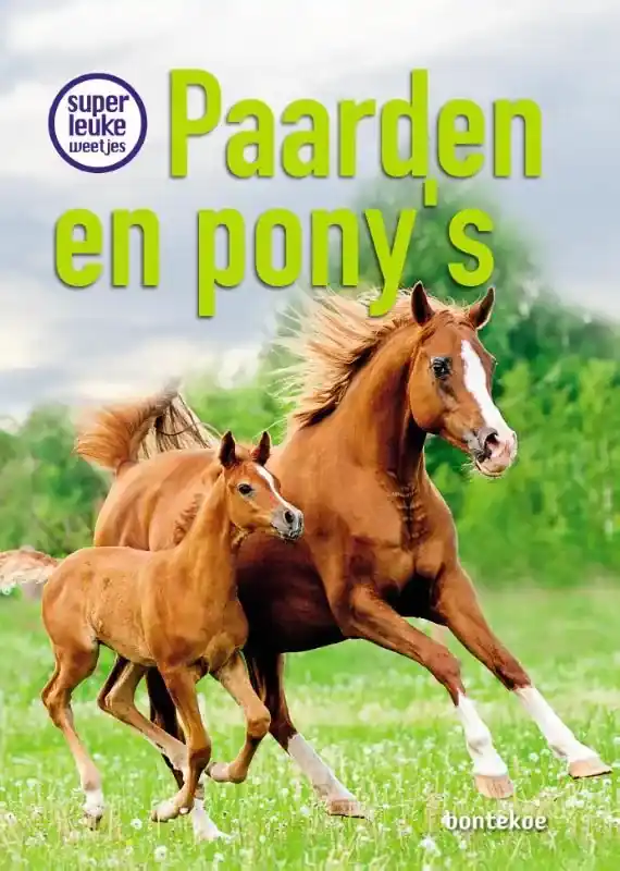 Hoge Kwaliteit Superleuke weetjes over paarden en pony’s