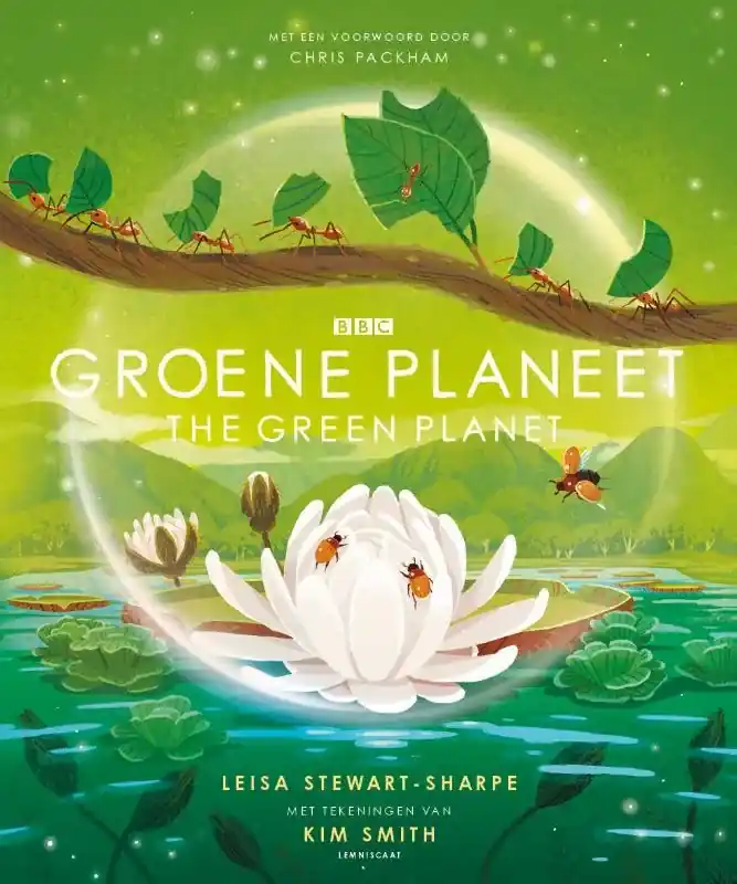 Groene planeet Lage Prijs