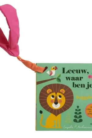 Nieuw Leeuw, waar ben je? buggyboekje