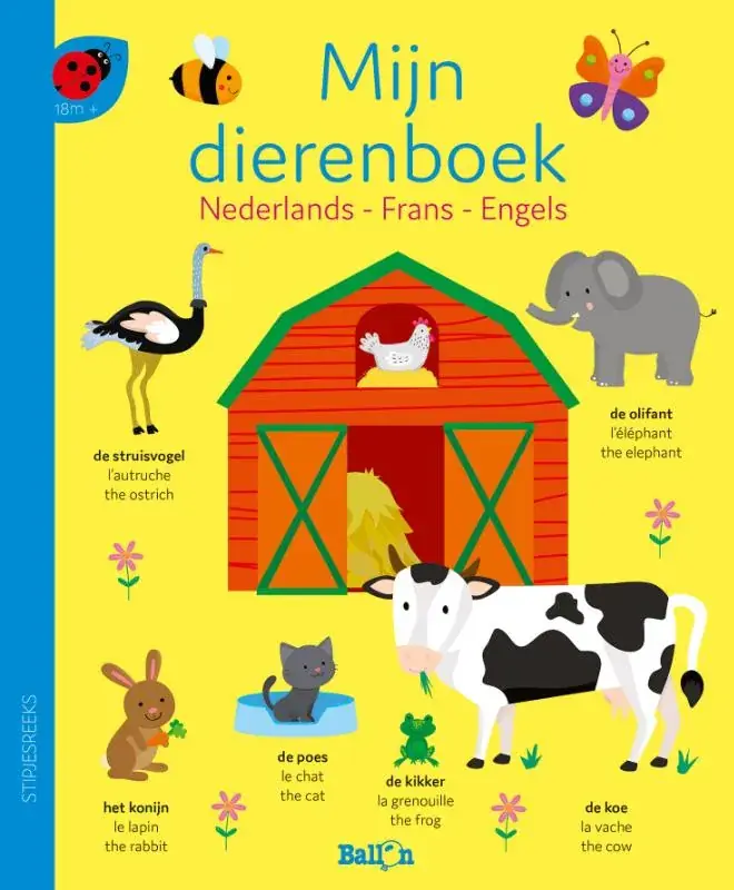 Lage Kosten Nederlands, Frans, Engels