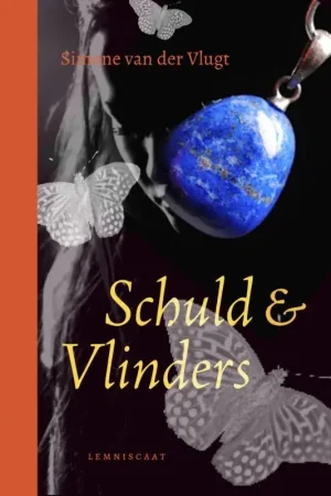 Schuld & Vlinders Beste Prijs