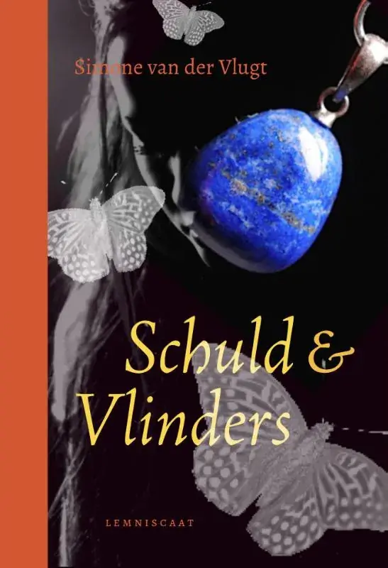Schuld & Vlinders Beste Prijs