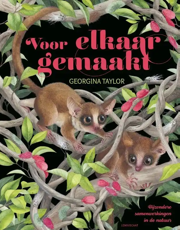 Gereduceerde Prijs Voor elkaar gemaakt