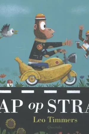 Aap op straat Koop Vandaag