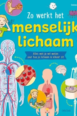 Zo werkt het menselijk lichaam Express Levering