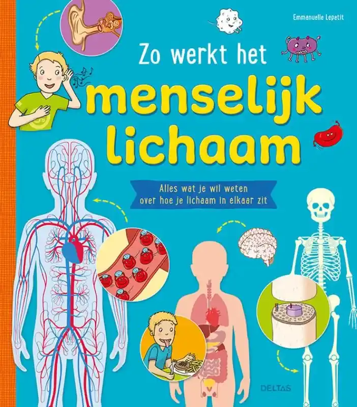 Zo werkt het menselijk lichaam Express Levering