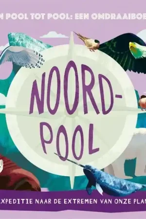 Noordpool/Zuidpool Koopje