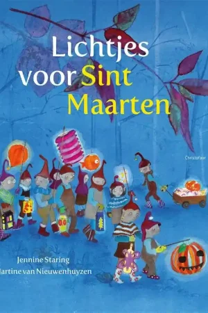 Rechtstreeks Van De Fabrikant Lichtjes voor Sint-Maarten
