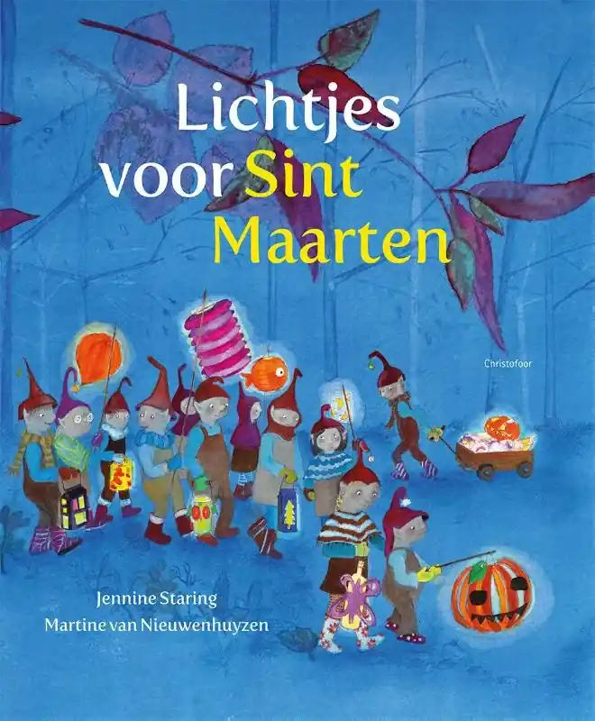 Rechtstreeks Van De Fabrikant Lichtjes voor Sint-Maarten