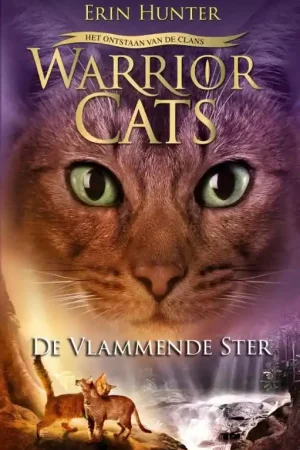 De vlammende ster Snelle Levering