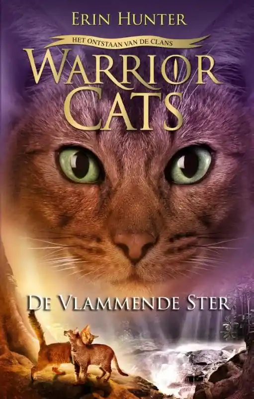 De vlammende ster Snelle Levering