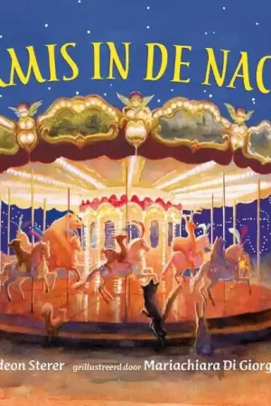 Fabrieksprijs Kermis in de nacht