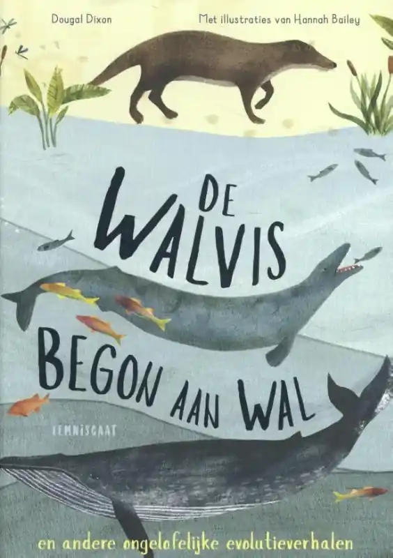 Snelle Levering De walvis begon aan wal