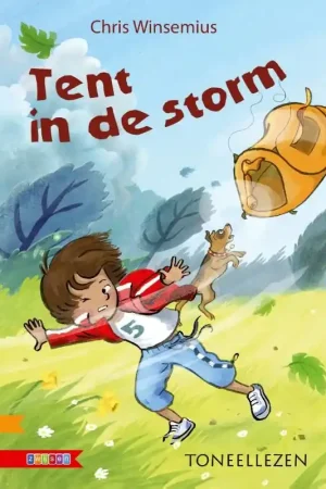 Snelle Levering Tent in de storm