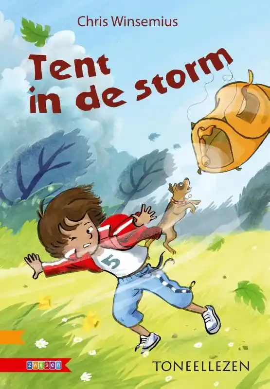Snelle Levering Tent in de storm