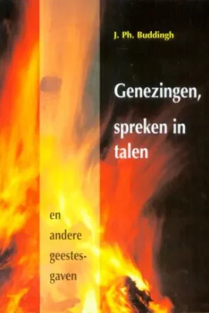 Beperkt Aanbod Genezingen en andere geestesgaven - J.Ph. Buddingh