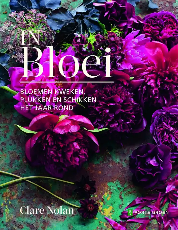 In bloei - Clare Nolan Nieuw