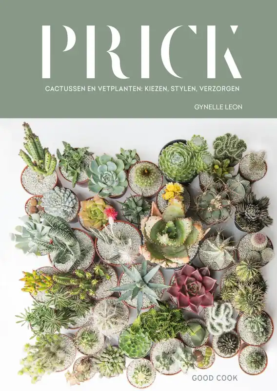 Prick - Gynelle Leon Snelle Levering