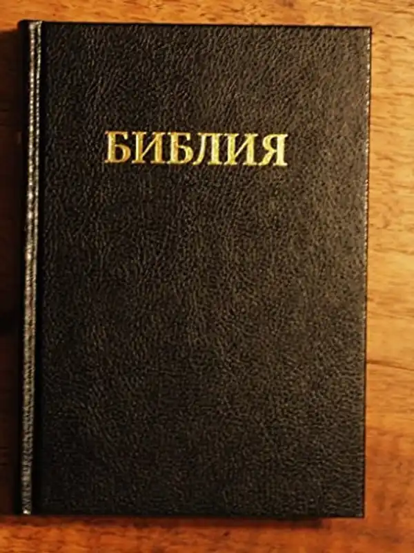 Medium - Russian Bible: Russian Bible (Synodal) (Russian Edition) - Author Unknown Laatste Kans