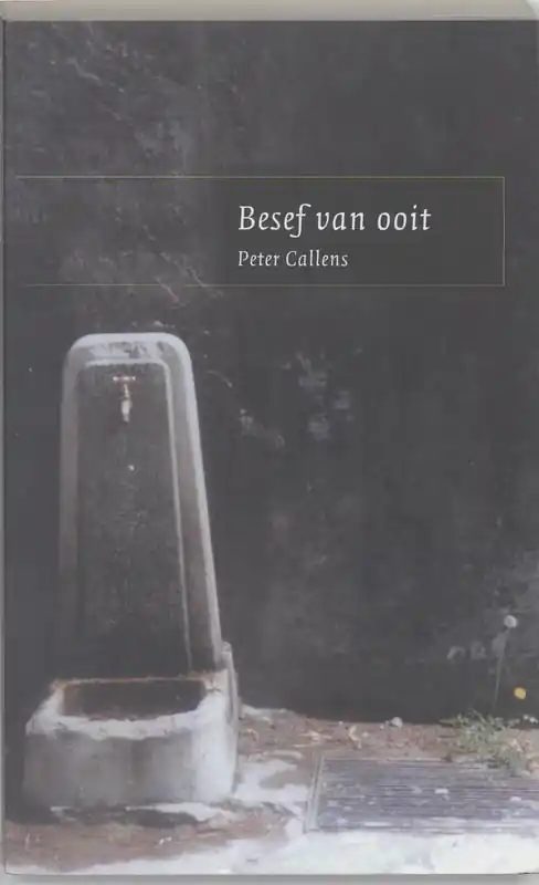 Betrouwbaar Besef van ooit - P. Callens