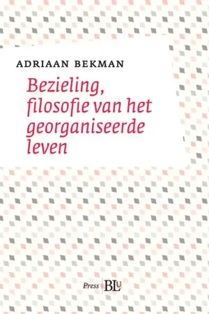 Speciale Aanbieding Bezieling - Adriaan Bekman