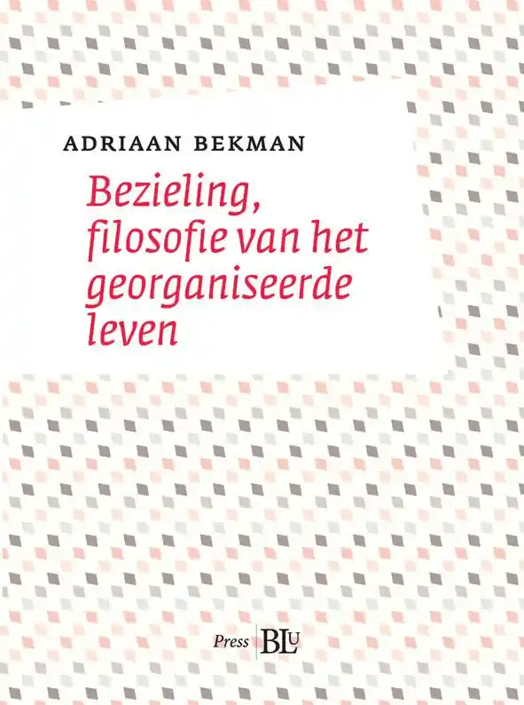 Speciale Aanbieding Bezieling - Adriaan Bekman
