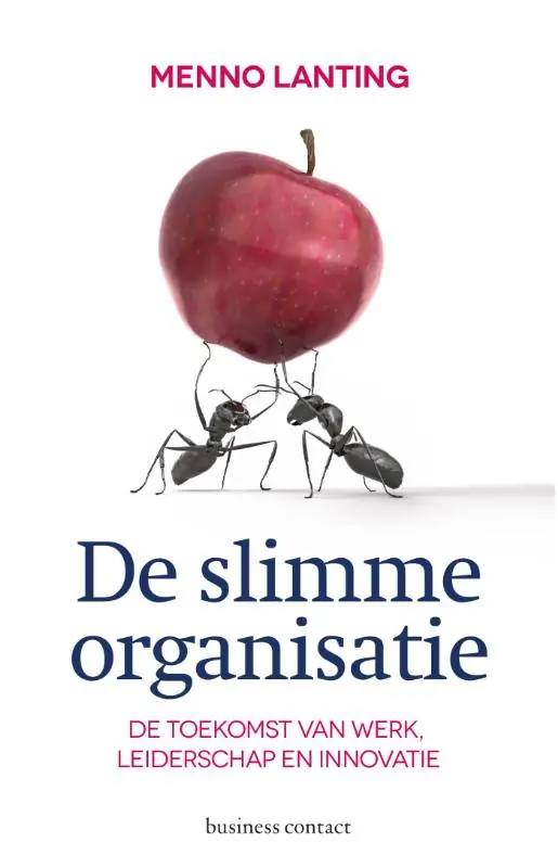 De slimme organisatie - Menno Lanting Gratis Verzending