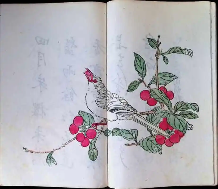 Op = Op Shizhuzhai shuahua pu - Ten Bamboo Studio Manual of Painting and Calligraphy - - Hu Yuecong Zhang Xuegeng