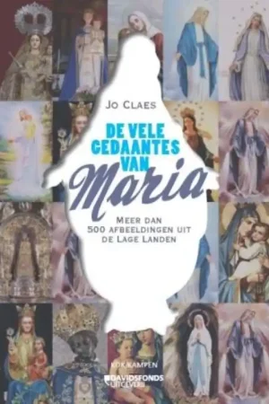 Koop Vandaag De vele gedaantes van Maria - Jo Claes