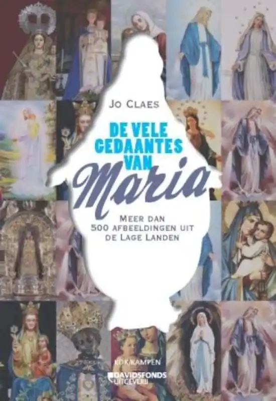 Koop Vandaag De vele gedaantes van Maria - Jo Claes