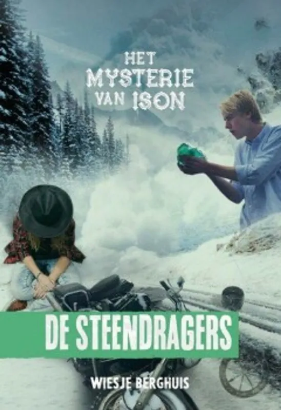 Direct Beschikbaar De steendragers - Wiesje Berghuis