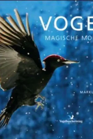 Beperkte Voorraad Tirion natuur Vogels - Markus Varesvuo