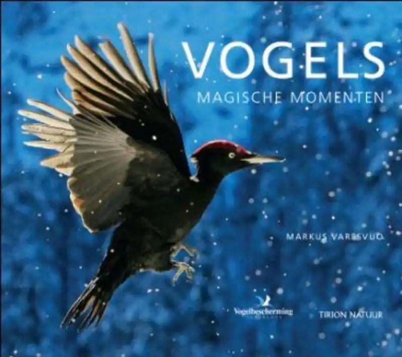 Beperkte Voorraad Tirion natuur Vogels - Markus Varesvuo