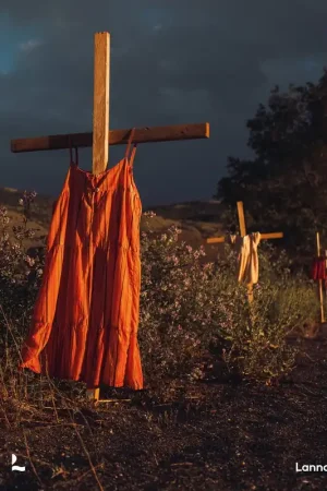 World Press Photo 2022 - World Press Photo Foundation Bestel Nu