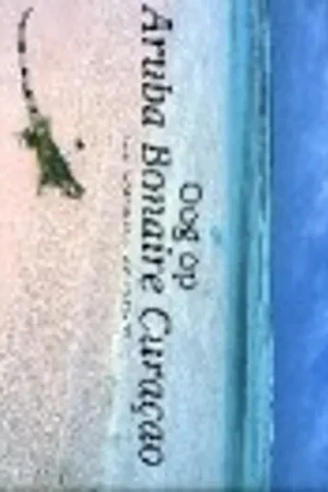 Oog op Aruba Bonaire Curacao - Ditzhuijzen Gratis Retour