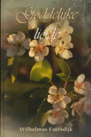 Speciale Aanbieding Goddelijke liefde - Eversdijk, Wilhelmus