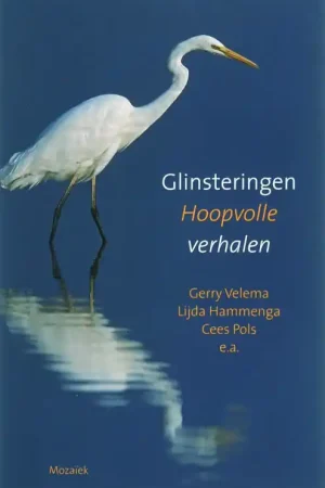 Beperkte Voorraad Glinsteringen - I. van der Beek