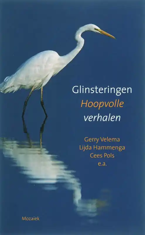 Beperkte Voorraad Glinsteringen - I. van der Beek
