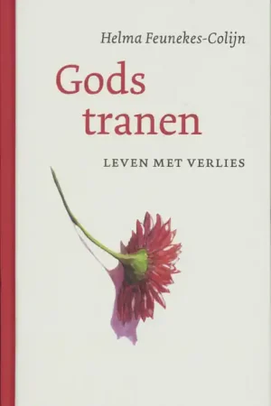 Gods tranen - H. Feunekes-Colijn Direct Verzonden
