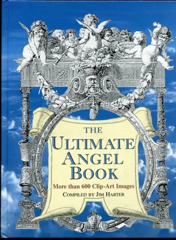 Veilige Betaling The ultimate angel book - Jim Harter