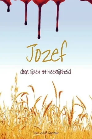 Fabrieksprijs Jozef - Hans van de Lagemaat