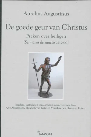 Voordeelprijs Preken over heiligen - Aurelius Augustinus