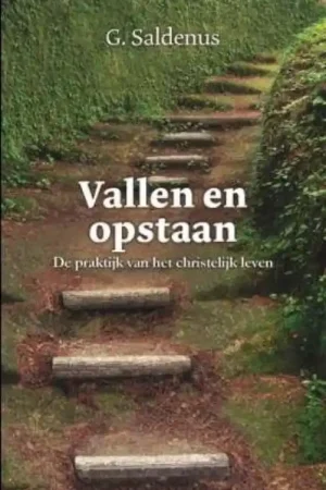 Snelle Levering Vallen en opstaan - Guilelmus Saldenus