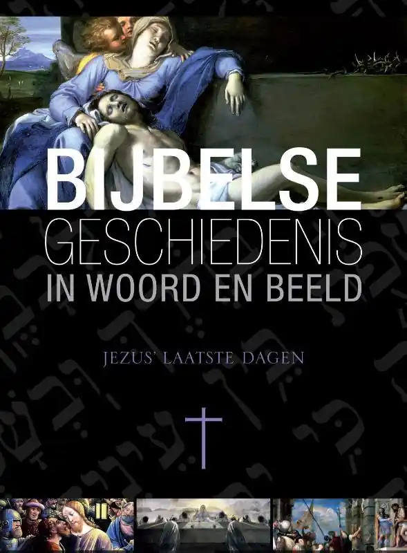 BIJBELSE GESCHIEDENIS 2 JEZUS LAATSTE - Reinier Sonneveld Beste Prijs