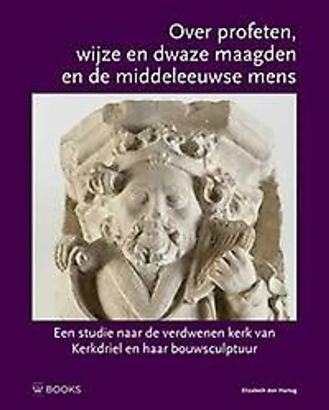 De verdwenen kerk van Kerkdriel - Elizabeth den Hartog Meest Verkocht